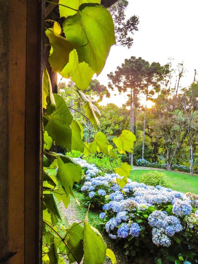 Rancho Do Lucas - Cabana E Chale São Bento do Sul Zewnętrze zdjęcie